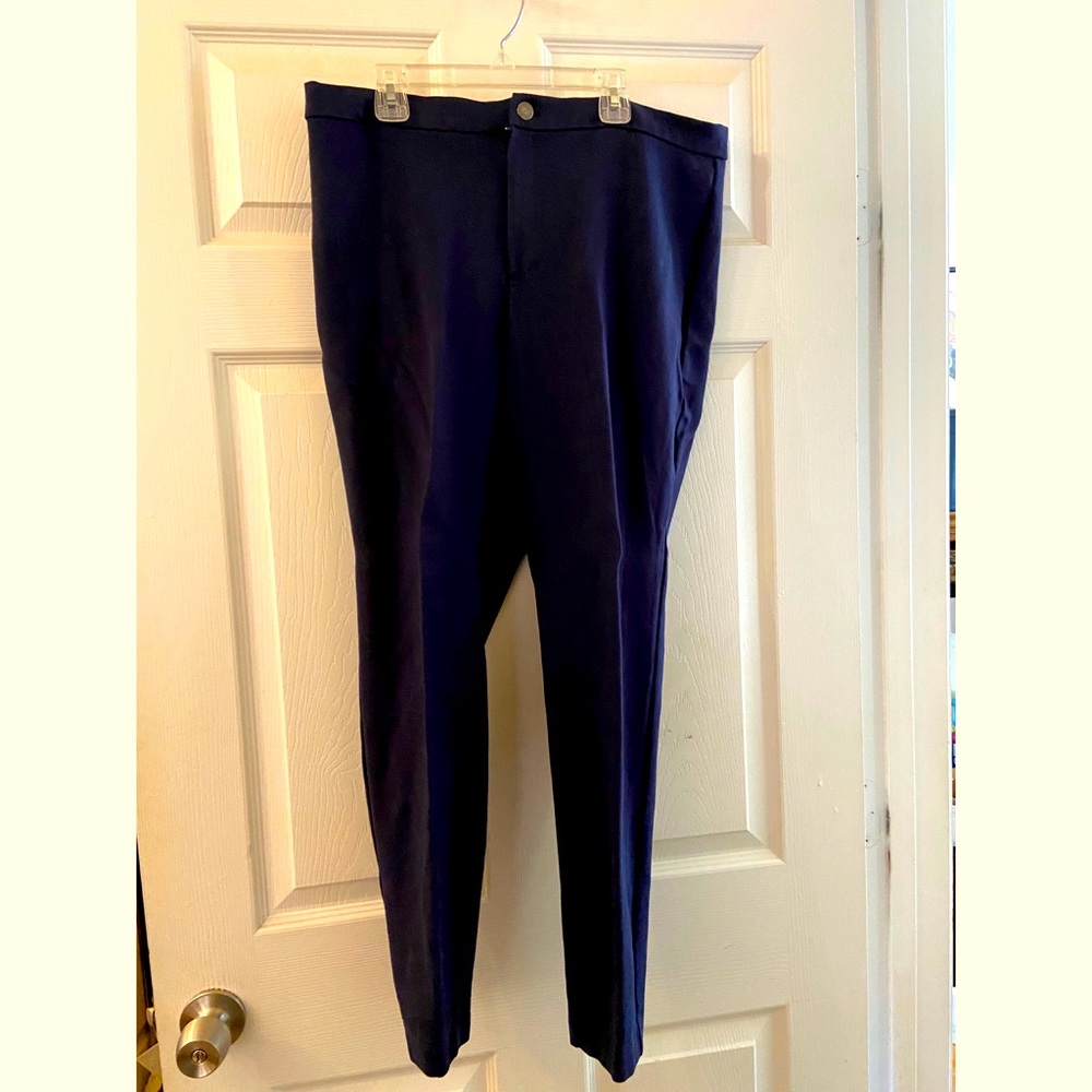 Blue Banana Republic Leggings (14)